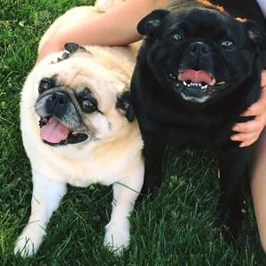 Meet your Posher, Lynnette